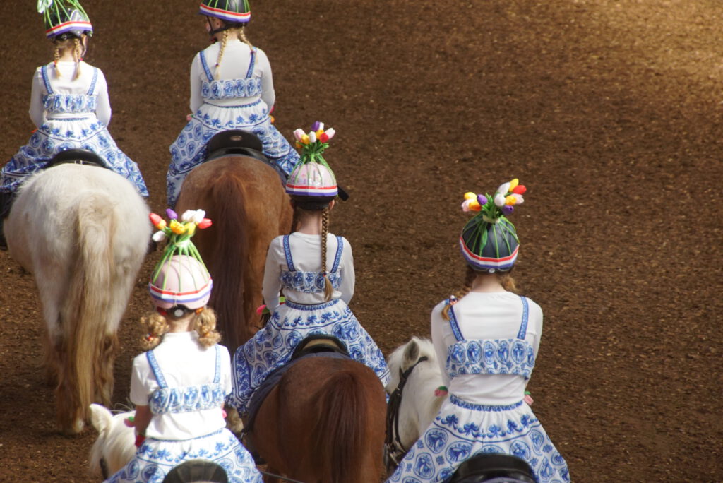 11. holland 6