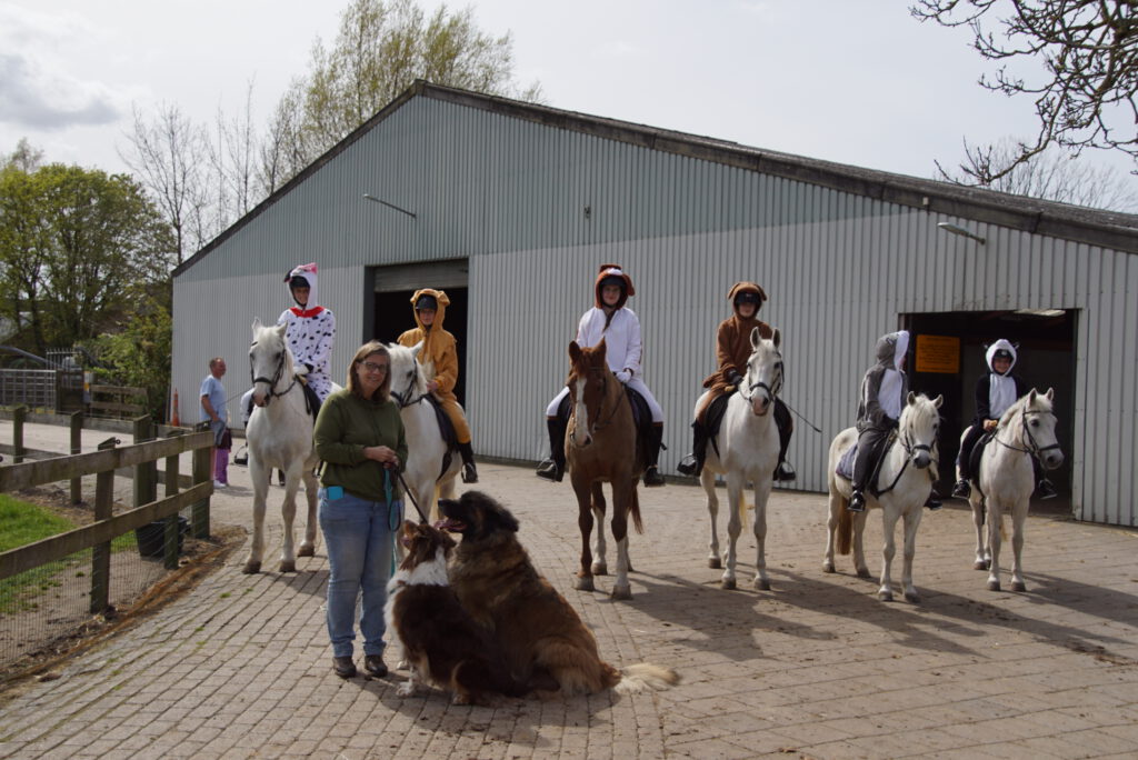 15. Hondenuitlaatservice