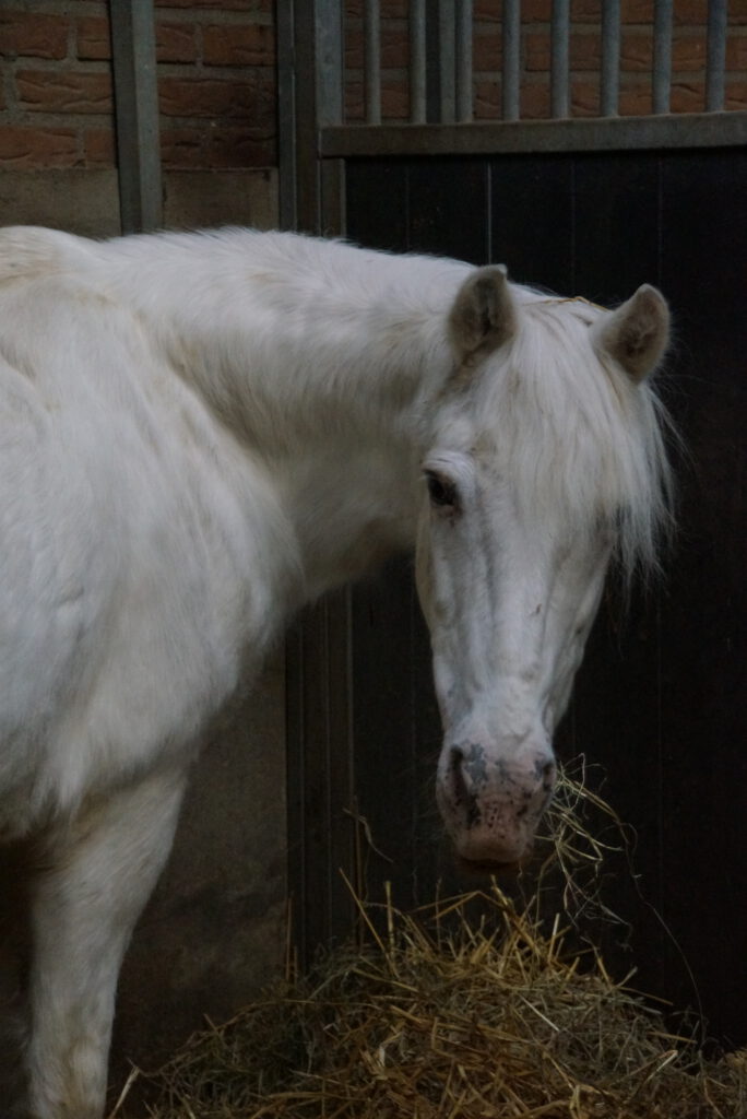DSC03748