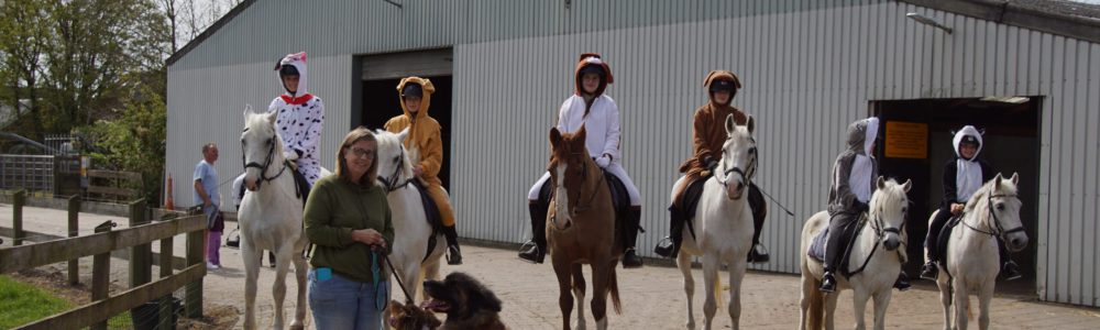 15. Hondenuitlaatservice